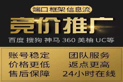 探索专业SEM托管的未来趋势与成功案例